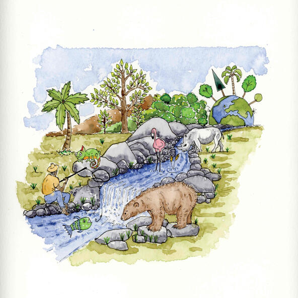 Water is an essential element for sustaining all life on earth