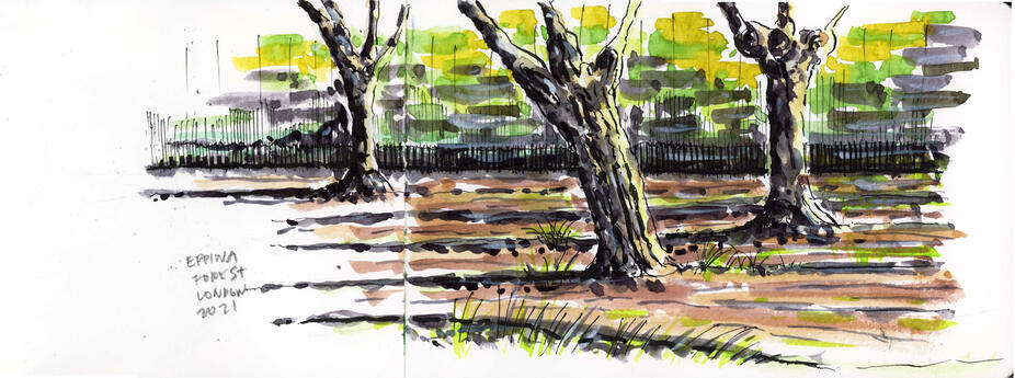 Epping Forest, London, UK